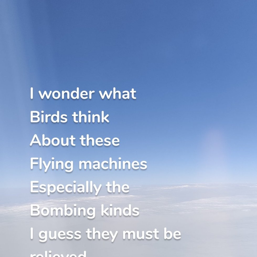 I wonder what Birds think About these Flying machines Especially the Bombing kinds I guess they must be relieved Their shit is not so lethal!!